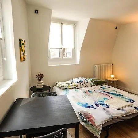 09 Grand Sunny Flat Notre Dame Appartement